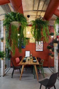 an indoor dining area with plants hanging from the ceiling and wooden table surrounded by chairs