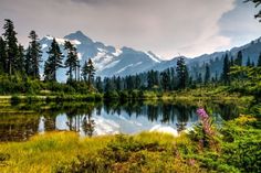 a lake surrounded by trees and grass with mountains in the background