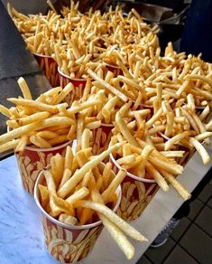 french fries are lined up in cups on a table