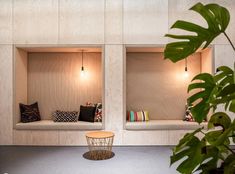 two wooden benches sitting next to each other on top of a carpeted floor in front of a plant