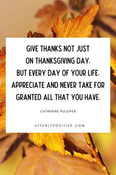 a quote on thanksgiving saying give thanks not just on thanksgiving day but every day of your life appreciate and never take for