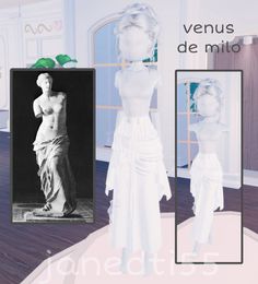 an image of a woman standing in front of a mirror with the caption venus de mio