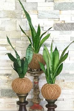 three potted plants sitting on top of each other in front of a brick wall