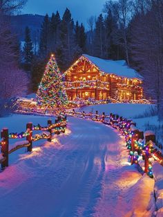 Christmas Cabin, Christmas Dreaming, Merry Christmas Pictures, Christmas Feeling, Christmas Scenes, Christmas Scene, Christmas Snow, Flowering Trees, Christmas Aesthetic