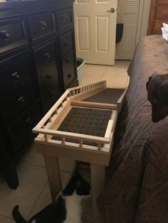 a dog is looking at a cat on the floor in front of a bed and dresser