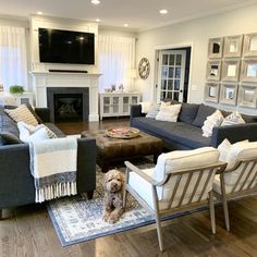 a living room filled with furniture and a dog sitting in the middle of the room