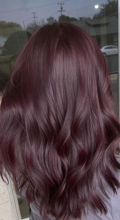 Dark Red With Purple Highlights, Plum Red Highlights On Dark Hair, Cherry Red Hair On Brown Hair, Dark Reddish Purple Hair, Purple Reddish Hair, Dark Purple Brown Hair, Brown Hair With Purple Undertones, Dark Brown And Purple Hair, Wine Brown Hair