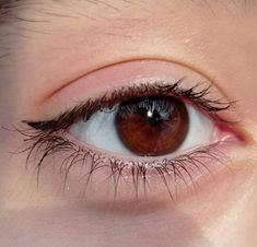 Auburn Eyes Color, Coffee Brown Eyes, Eye Color Claim, Big Brown Eyes Aesthetic, Reddish Brown Eyes, Bright Brown Eyes, Nut Brown Eyes, Light Brown Eye Color, Russet Eyes