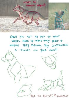 the instructions for how to draw an animal