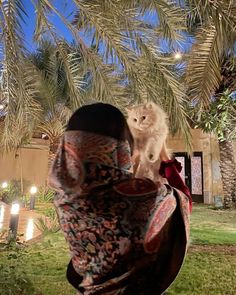 a cat sitting on the back of a woman's head under a palm tree