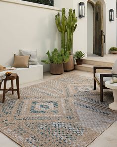 a living room area with cactus and potted plants on the side of the house