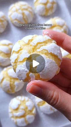 a hand holding a pastry with powdered sugar on it