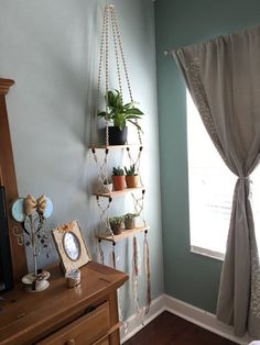 a living room with a window and shelves filled with potted plants on the wall