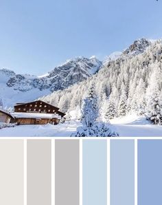 Winter wonderful Color Palette with whites and blues. Perfect for decorate with elegance! Winter Mood Board, Wedding Color Schemes Winter, Color Schemes Design, Best Wedding Colors, Winter Color Palette, Winter Mood, Palette Ideas, Blue Palette