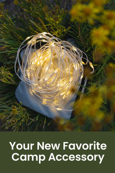 a white light sitting on top of a green plant with the words your new favorite camp accessory