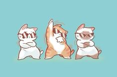 three cats wearing sunglasses and one is pointing at the sky with his paw in the air