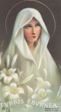 an image of a woman with white veil and flowers in her hands, on a blue background