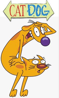 an orange cat and dog are facing each other in front of the caption that says,