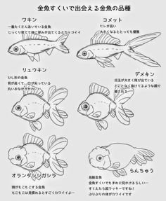 an image of different types of fish in japanese language, with the words written below it