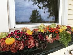 a window sill with flowers and pumpkins on it