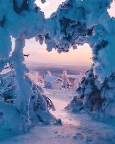 snow covered trees and houses in the distance at sunset or dawn, viewed through an opening in which there is only one tree