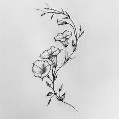 a black and white drawing of some flowers