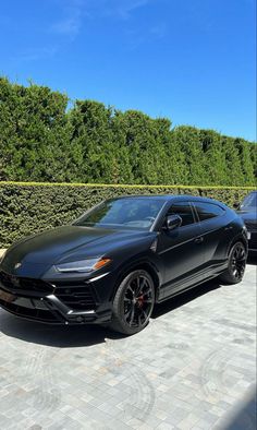 a black sports car parked in front of a hedge