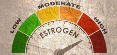 If the body is producing too much estrogen, you can experience symptoms that interfere with daily life. Learn how to treat estrogen dominance in men and women. High Estrogen Symptoms, Estrogen Dominance Symptoms, High Estrogen, Estrogen Hormone, Low Estrogen Symptoms, Too Much Estrogen, Skin Bumps, Thyroid Medication, Hormone Support