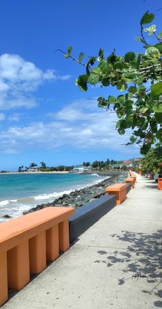 an orange bench sitting on the side of a beach next to the ocean under a blue sky