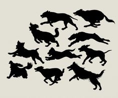 silhouettes of dogs running and jumping in the air with their tails spread out,