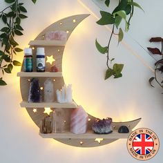 a wooden shelf with various items on it and a plant in the corner next to it