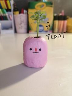 a pink rock with a plant sticking out of it's face on a table