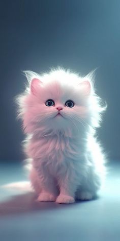 a small white kitten sitting on top of a blue floor next to a gray wall