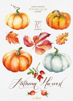 watercolor autumn leaves and pumpkins with the words autumn harvest written in white lettering