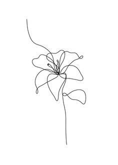 a single line drawing of a flower on a white background