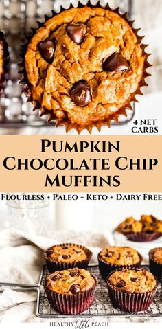 pumpkin chocolate chip muffins with text overlay