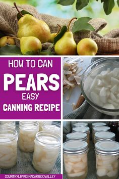 how to can pears easy canning recipe