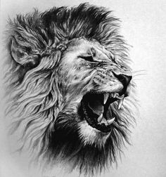 a pencil drawing of a lion's head with its mouth open and it's teeth