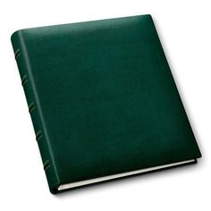 a green leather book with white pages