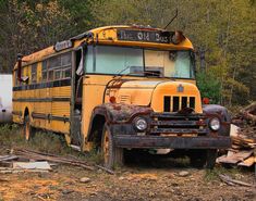 an old yellow school bus sitting in the middle of a forest filled with trees and debris