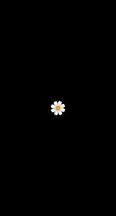 a single white flower sitting on top of a black surface