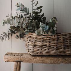 a wicker basket filled with green leaves on top of a wooden bench next to a white wall