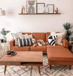 a living room with a couch, coffee table and pictures on the wall above it