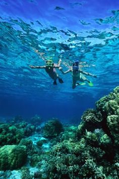 two people are swimming in the ocean