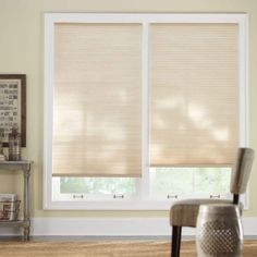 a living room with two windows covered in blinds