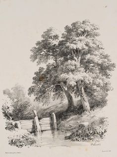 an old drawing of two people standing in the water next to some trees and bushes