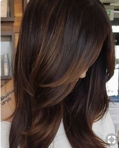 Highlights For Dark Brown Hair, Jamie Chung, Chocolate Brown Hair, Redken Shades Eq, Dark Hair With Highlights, Trendy Hair Color, Hair Color Highlights, Dark Brown Hair