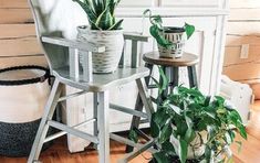 some plants are sitting on stools in a room with wood flooring and white walls