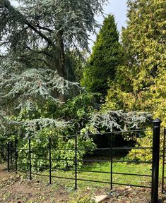 Our Estate Fencing can be installed with lambs wire at the bottom to prevent smaller animals passing between the rails. 

One of our recent installations with wire added to the bottom 2 rails. 

#steelfence
#estatefence
#lambswire
#fence
#thetraditionalco The United Kingdom, Small Pets, Animals