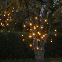 some lights that are hanging from a tree